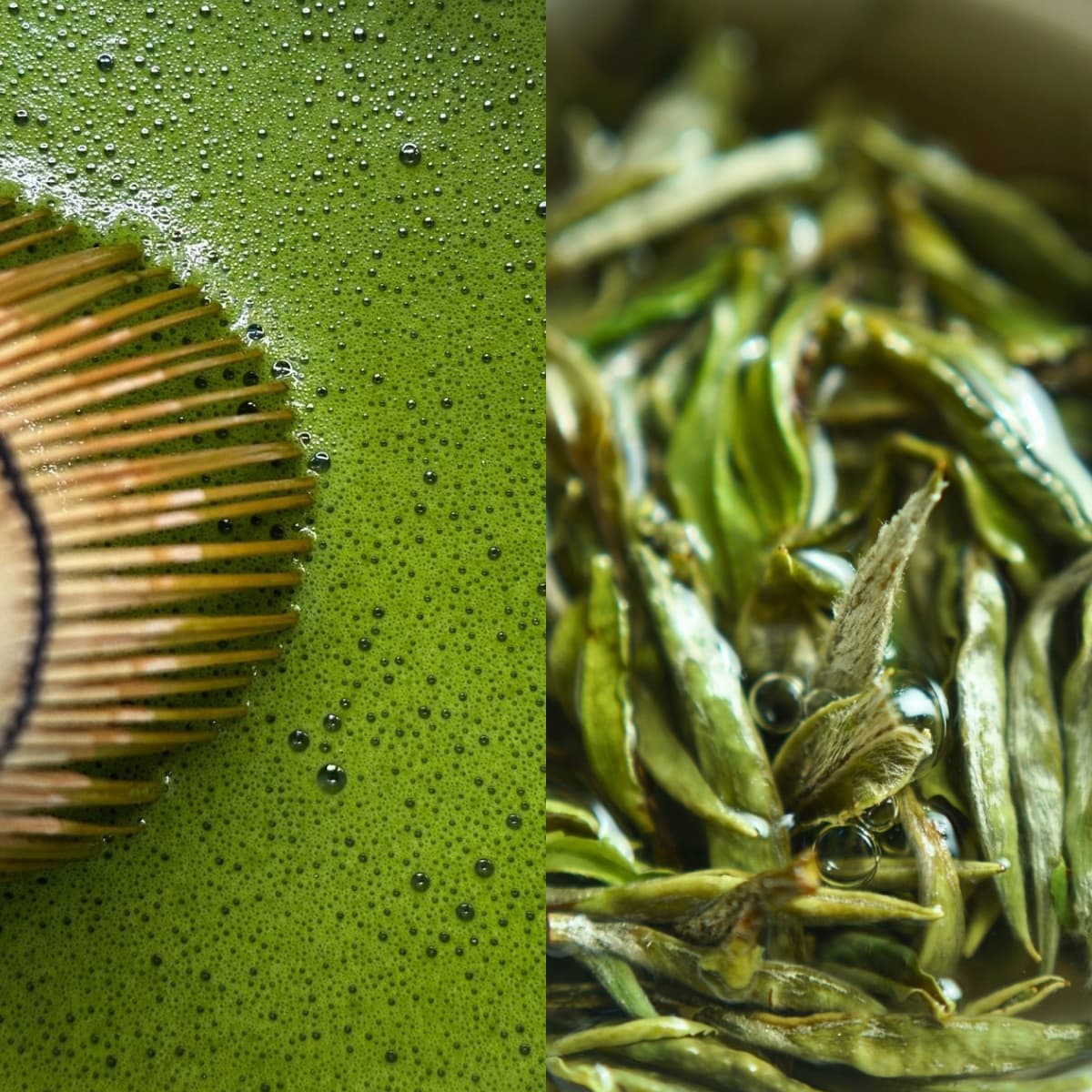 Matcha vs Ceai Verde: 7 Diferențe pe care nu le știai